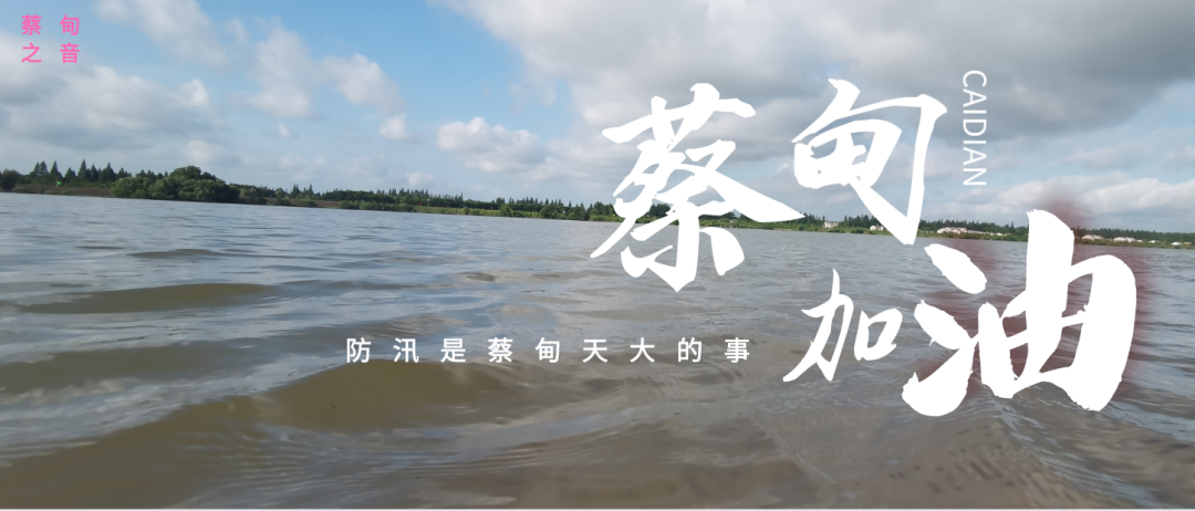 蔡甸區啟動防汛ⅰ級應急響應,做好鋪土釘防汛木樁工作