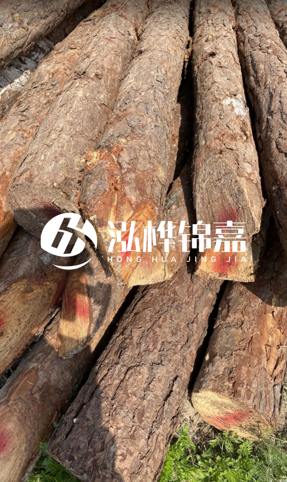 <strong>松木樁和杉木樁的用途區別?哪個更適合打樁用?</strong>