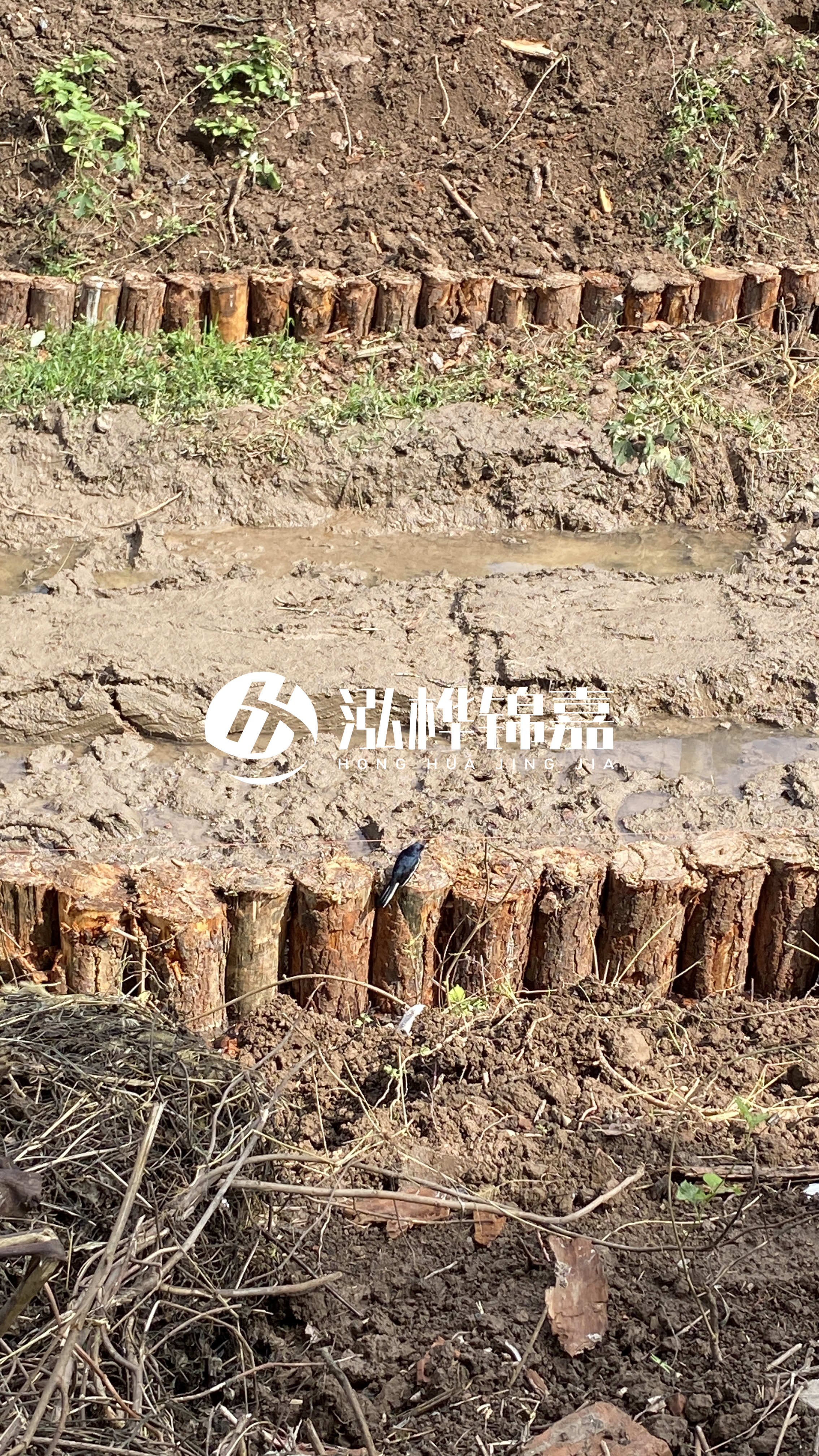 寧波河道清淤專業(yè)施工-治理河道對于老百姓有什么意義?