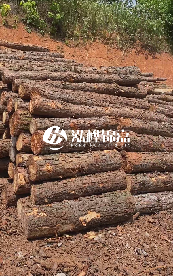 七臺河河道清淤專業(yè)施工-河道清淤的淤泥多久能干？