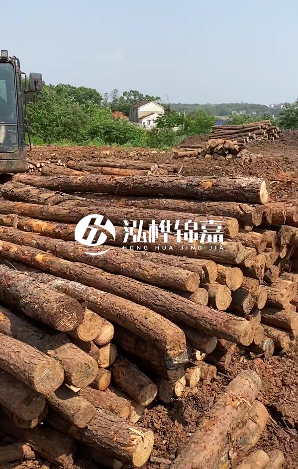 荊州挖機打木樁專業(yè)施工-河道打樁木被水浸泡后會不會變形嚴重?