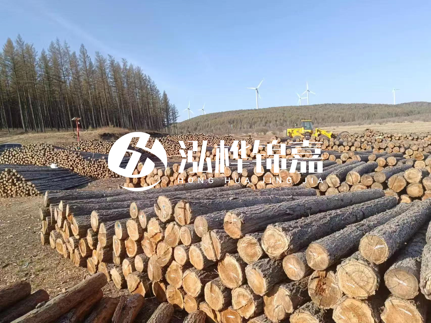 湘潭松木樁源頭廠家-松木樁與水泥樁的性價比對比如何？