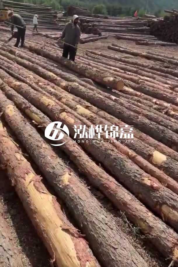 海口松木樁源頭廠家-松木樁最長可以做多少米?