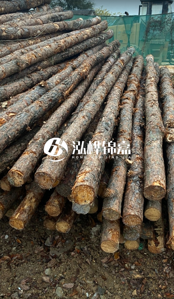 徐州松木樁批發(fā)源頭廠家-松木樁需要做防腐嗎?