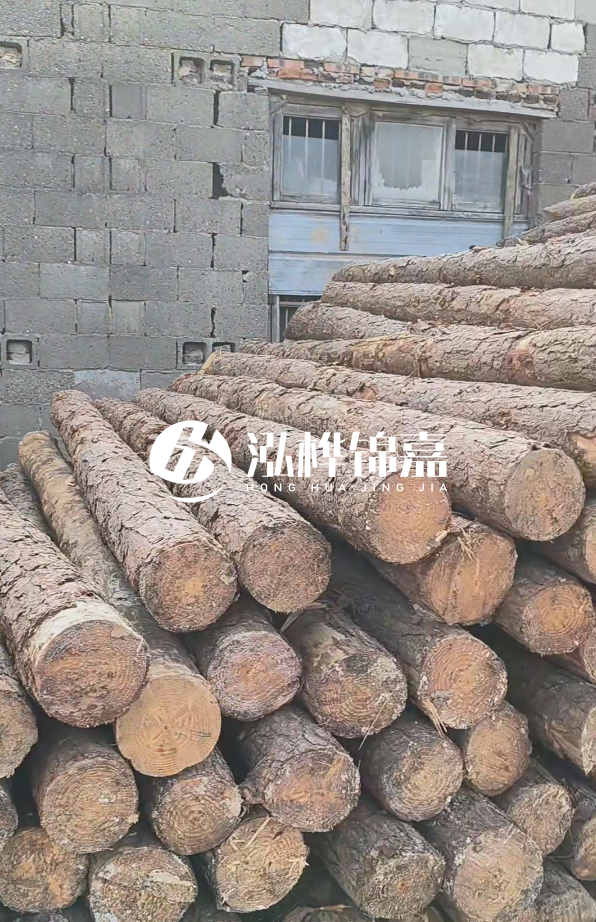 3米松木樁多少錢(qián)一根?14公分松木樁價(jià)格是多少?