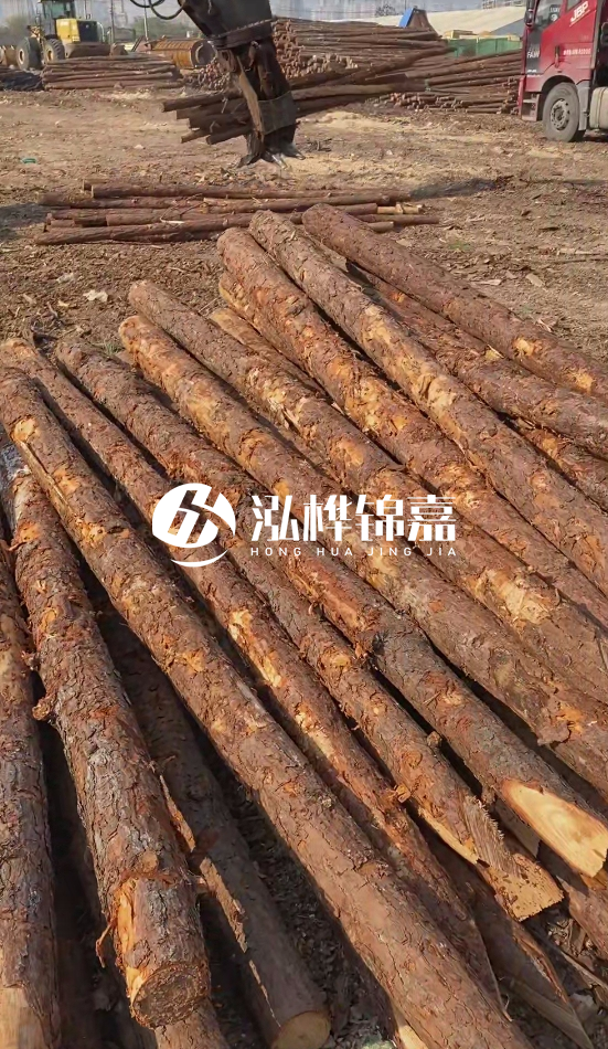 4.5米松木樁直徑14一根多少錢(qián)?5米14厘米多少錢(qián)?