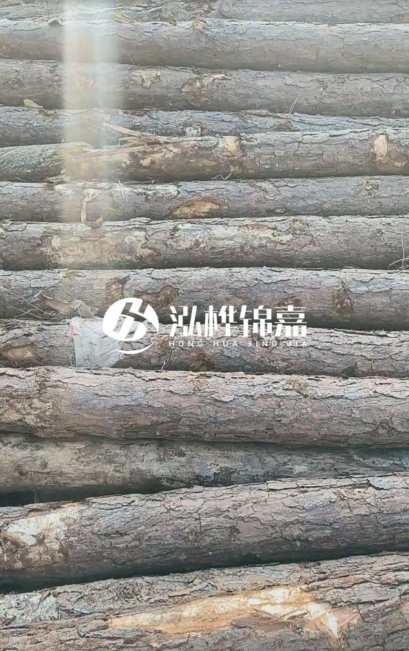 松木樁5米100mm一根多少錢(qián)-5米140mm多少錢(qián)?