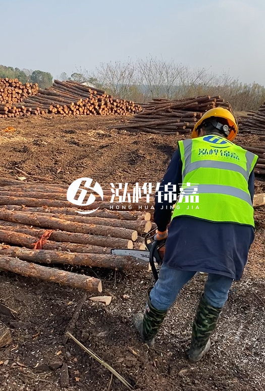 廣東松木樁3米生產廠家-3米直徑12松木樁多少錢?