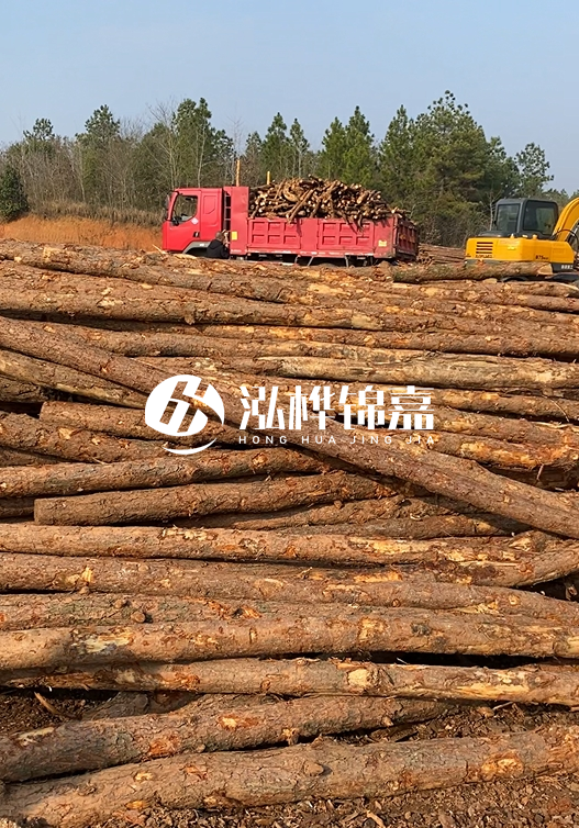 8米小頭11-13CM的松木樁價格是多少?打樁施工怎么算?