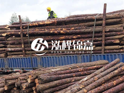 防洪防汛用松木樁的單價是多少？4米長10公分多少錢一根？