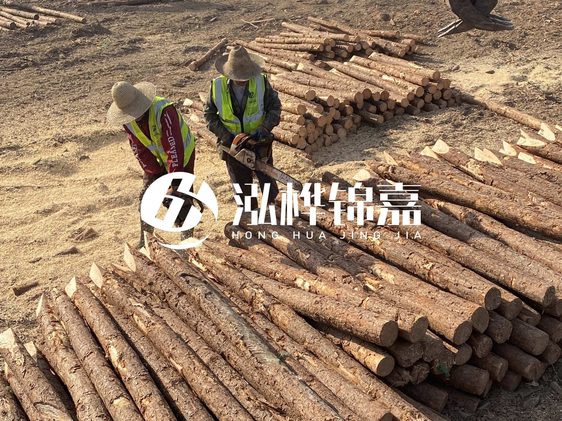河北打樁木廠家主要生產哪些材質的打樁木?產品有哪些規格?