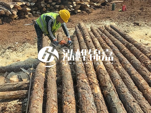 松木樁批發(fā)廠家泓樺錦嘉-河道打樁木施工中怎么防止樁頭被打壞？